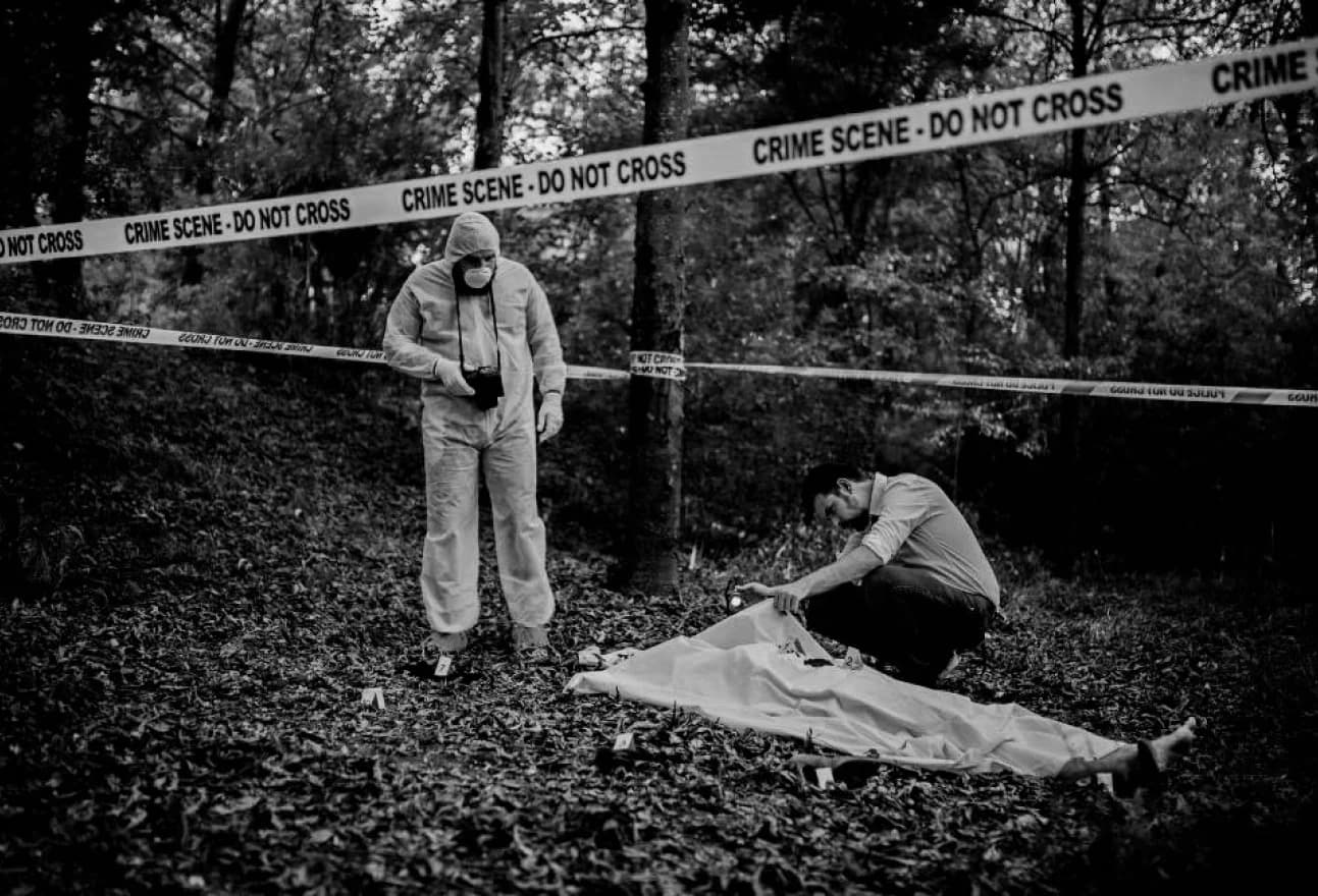 Crime Reconstruction